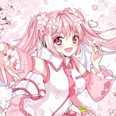 莫桑比克总统查波抵达北京